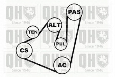 QUINTON HAZELL qdk42 -  Поликлиновой ременный комплект
